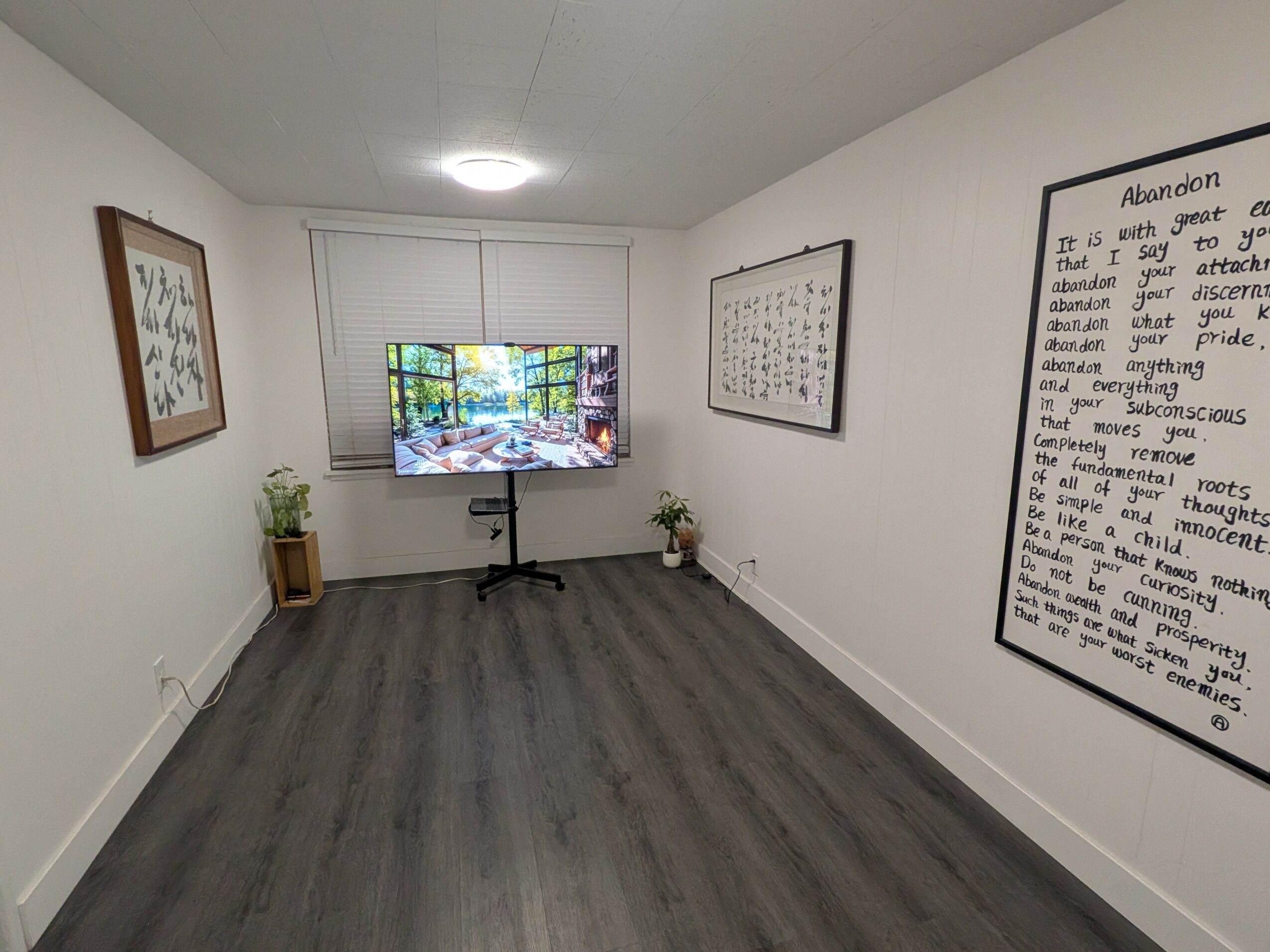 Empty room with a TV on a stand, two potted plants, and framed artwork on white walls, gray flooring.
