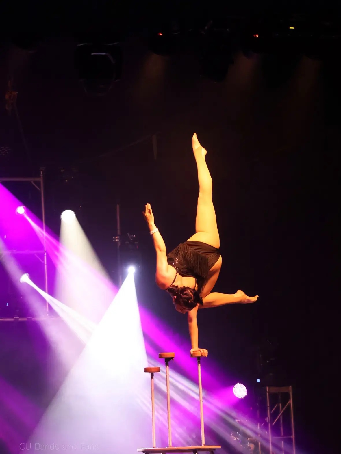 A person performs a handstand on two tall poles in a dark setting with stage lights, one leg extended upward.
