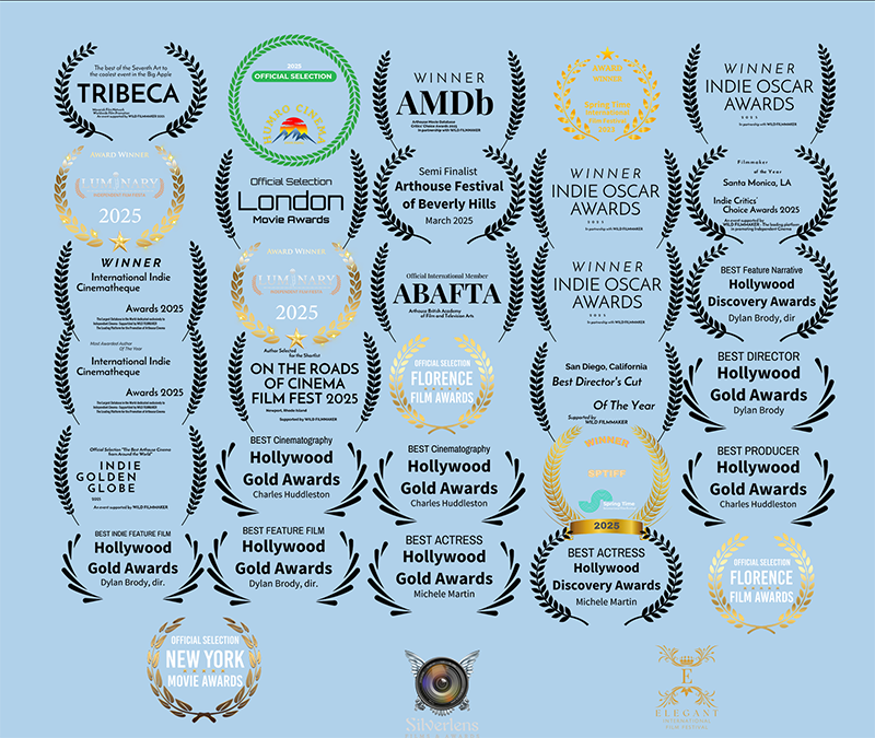 Collection of various award logos and laurels on a light blue background, including film festival, actor, and industry awards.