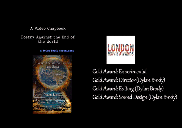 Black background with white text, a book cover, and award information. Text includes titles and awards for a video project.