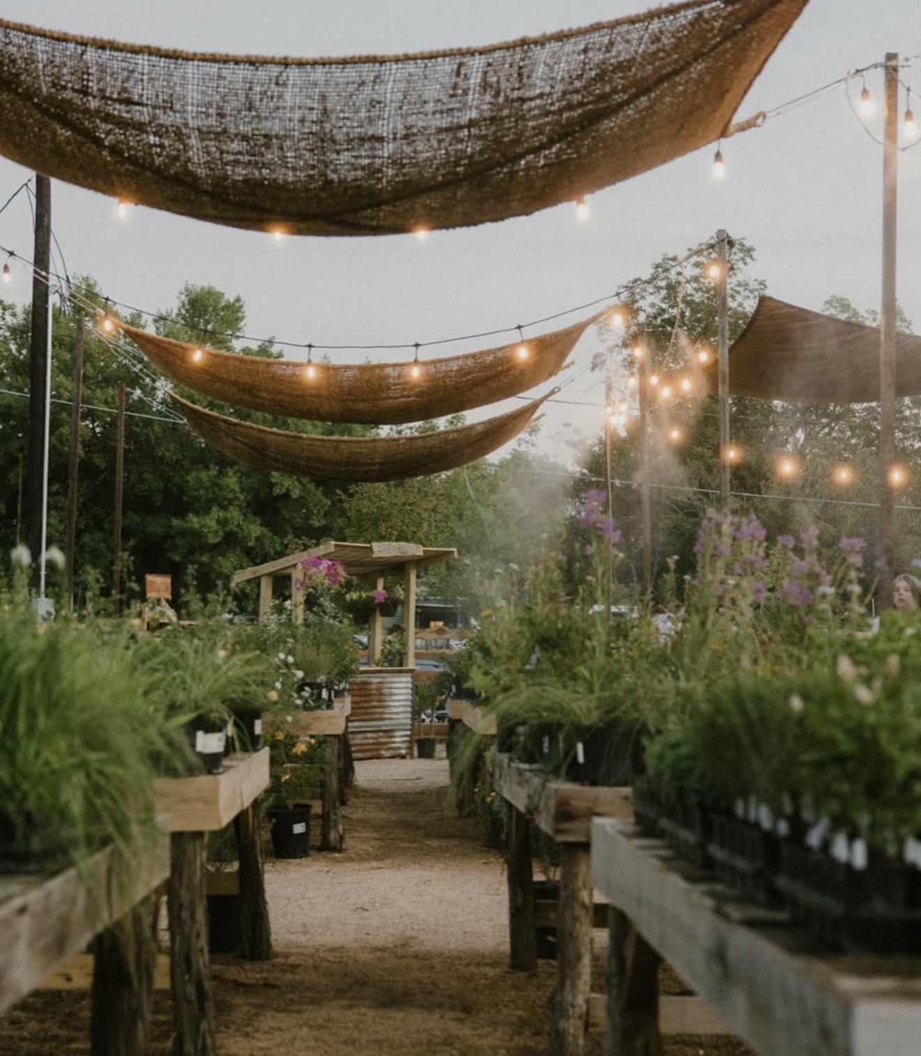 Outdoor garden with hanging shade cloths, string lights, plants, and a pathway with benches and potted plants.