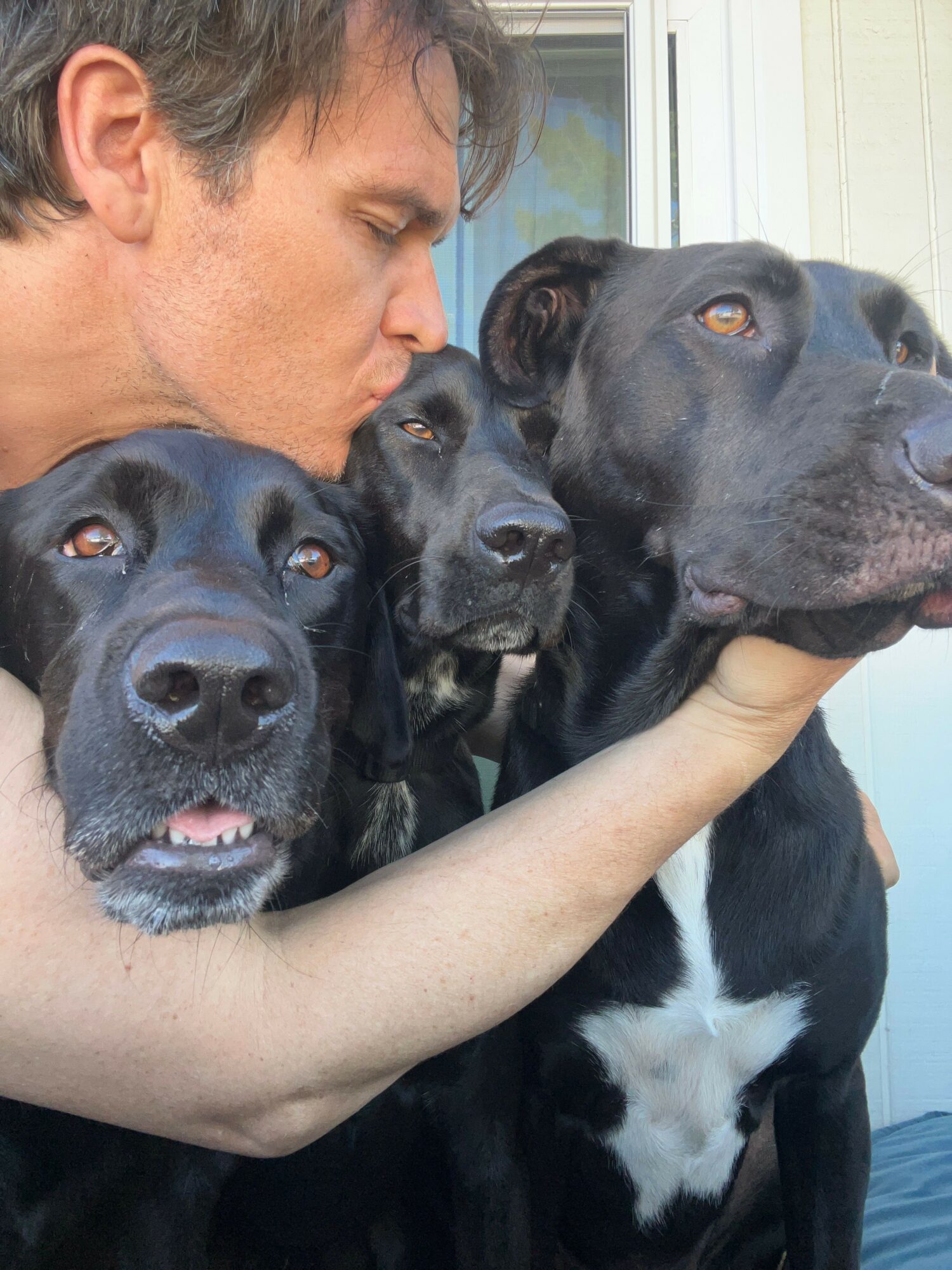 Person holding three black dogs close, with one dog's face near person's face, all outdoors near a window.