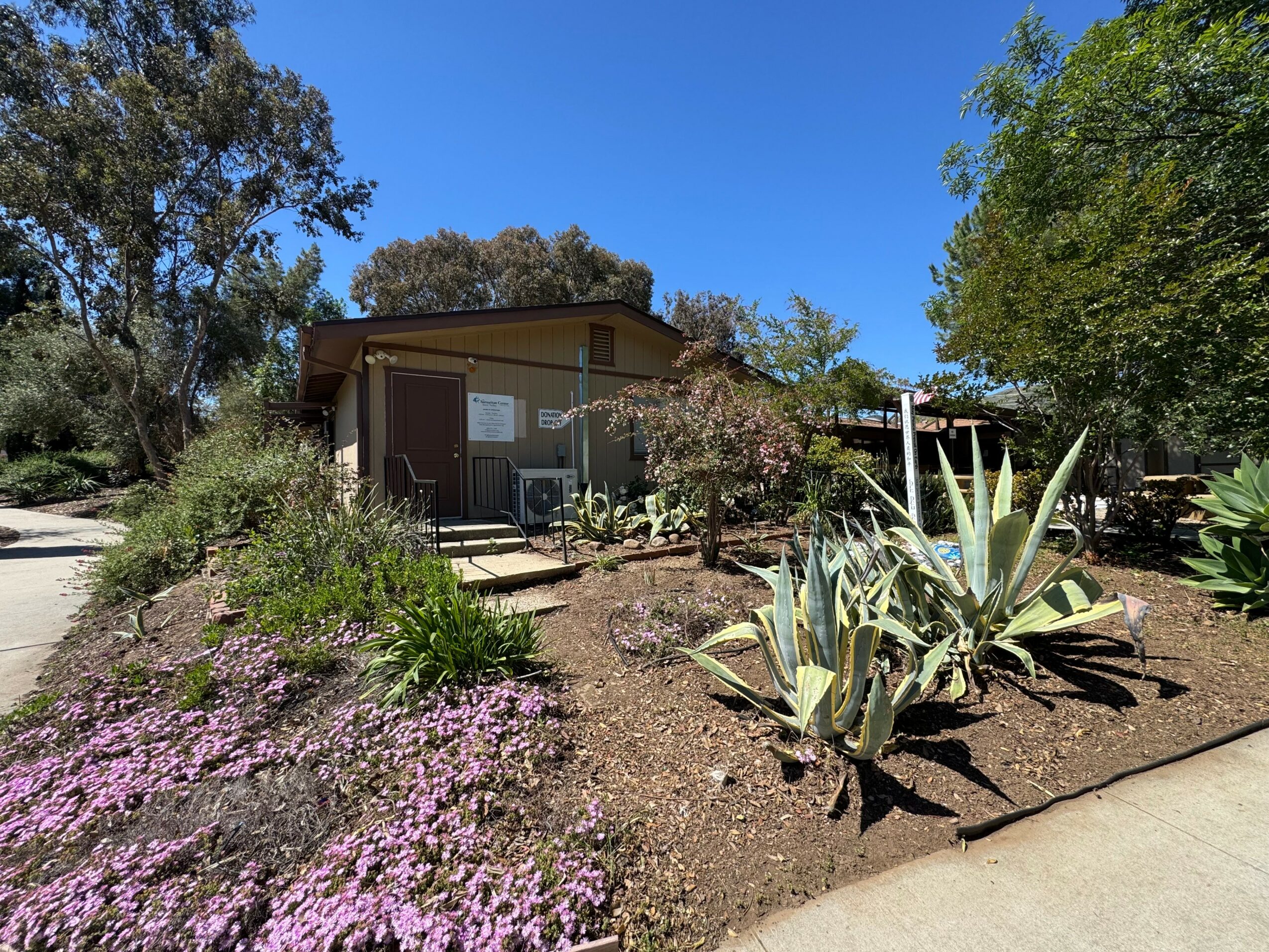 Small house with a porch surrounded by plants and trees, under a clear blue sky.