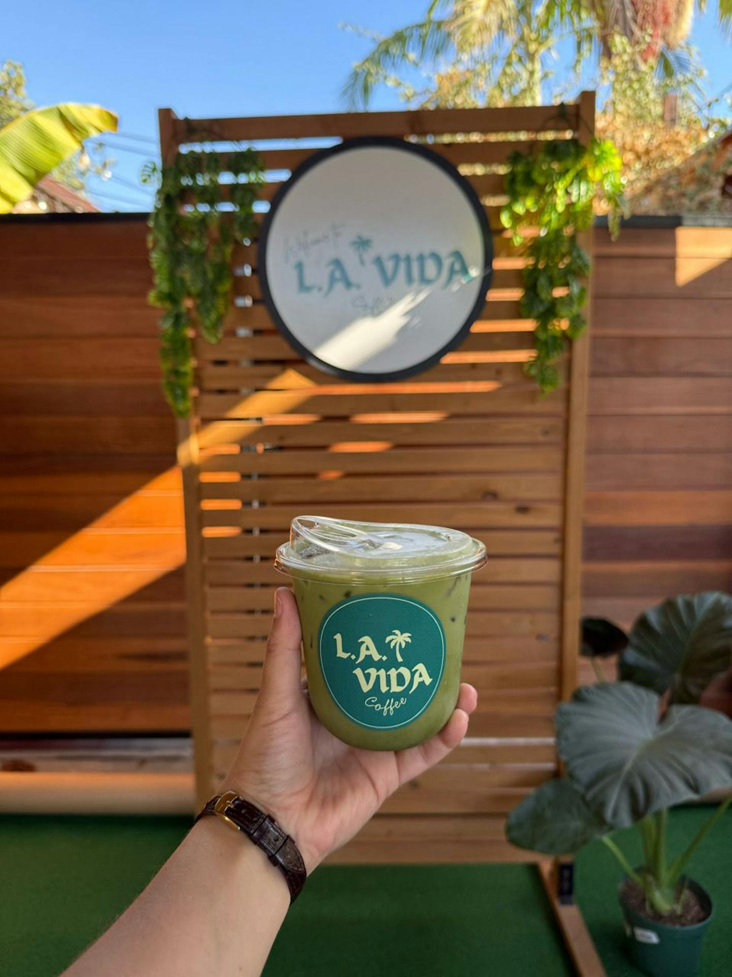 Hand holding a green drink with a logo, outdoor wooden fence with round sign, plants, and blue sky in background.